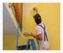 Paint Services